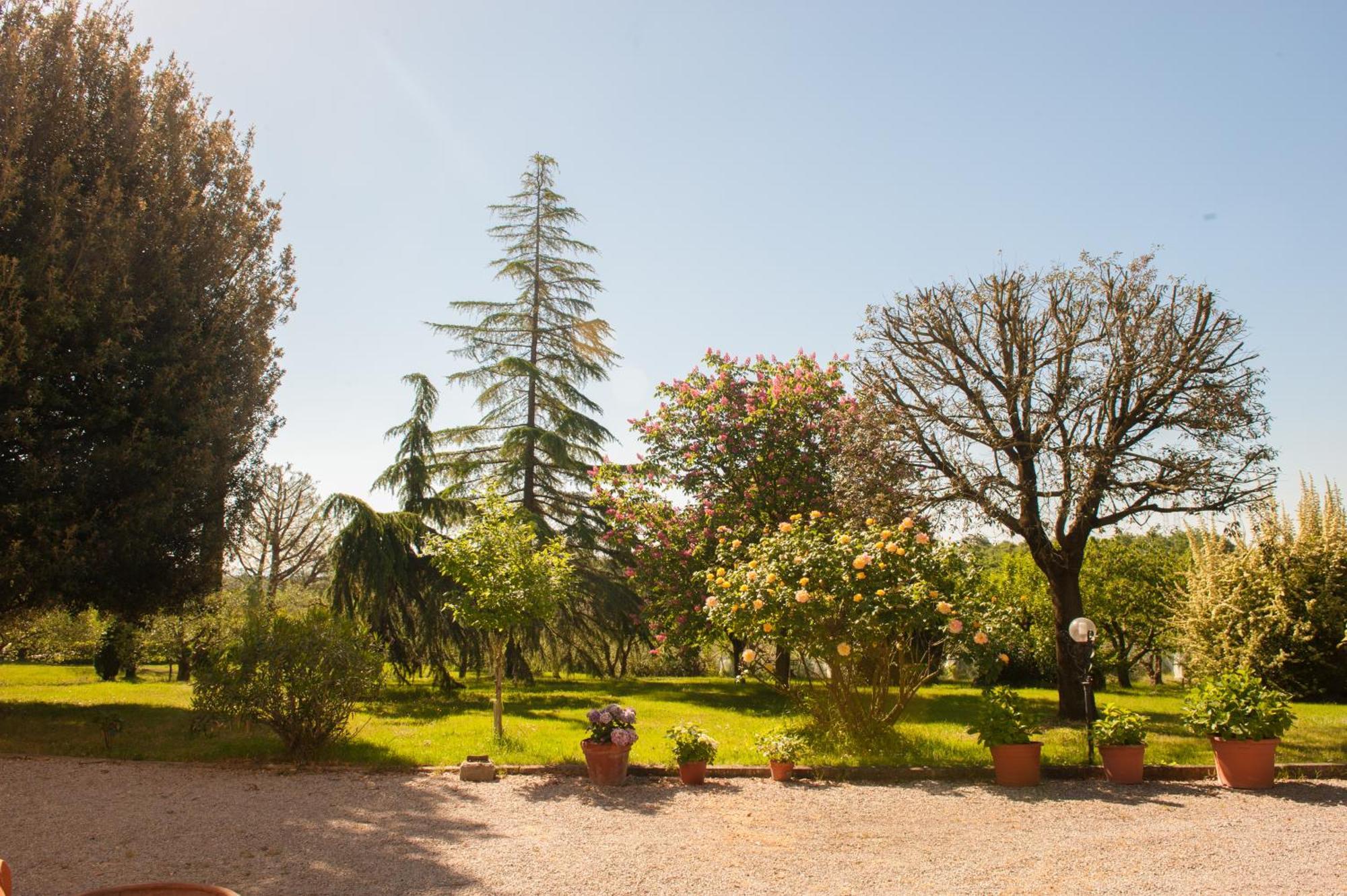 Agriturismo Villa La Morina Кортона Екстериор снимка