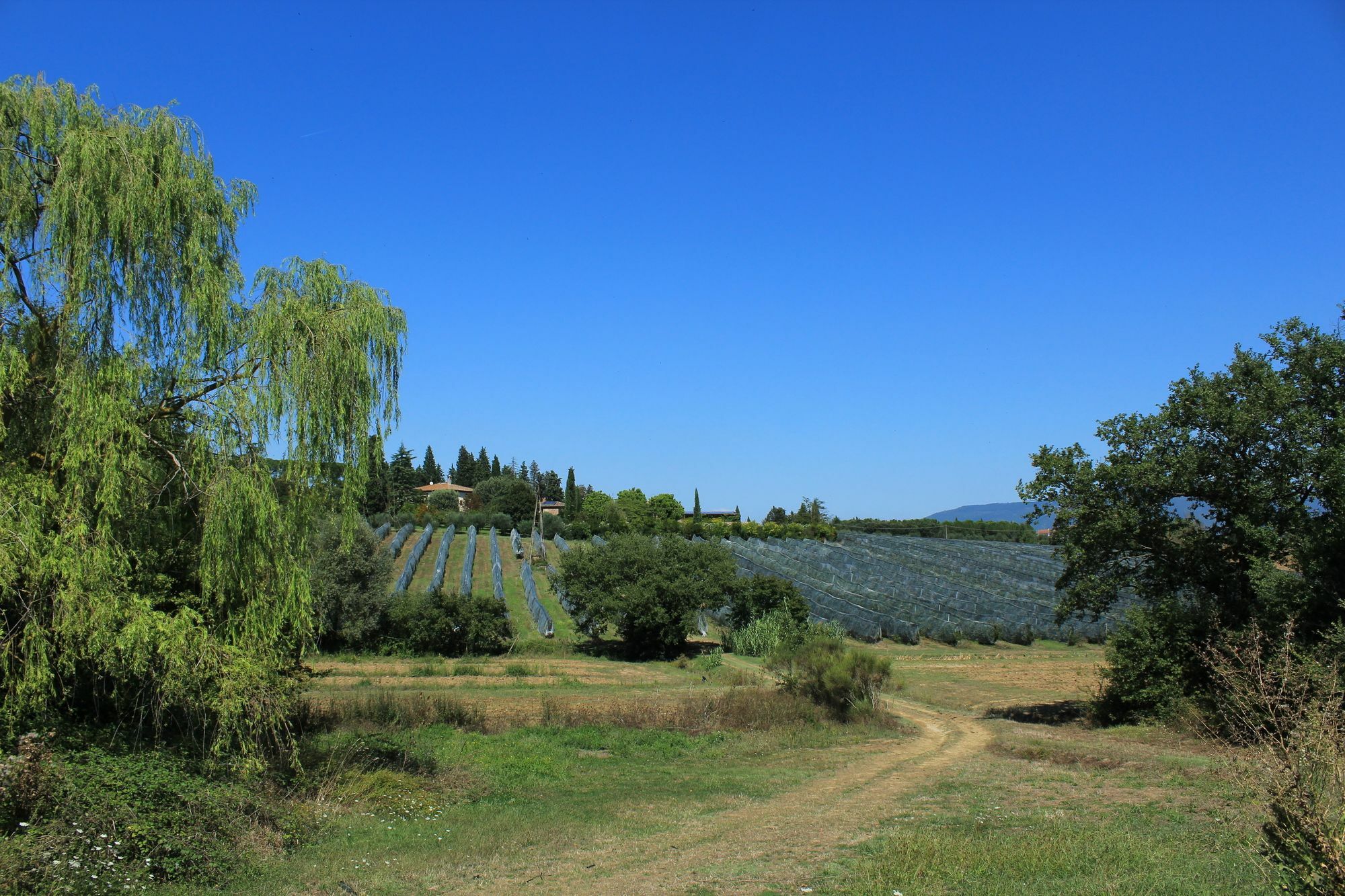 Agriturismo Villa La Morina Кортона Екстериор снимка