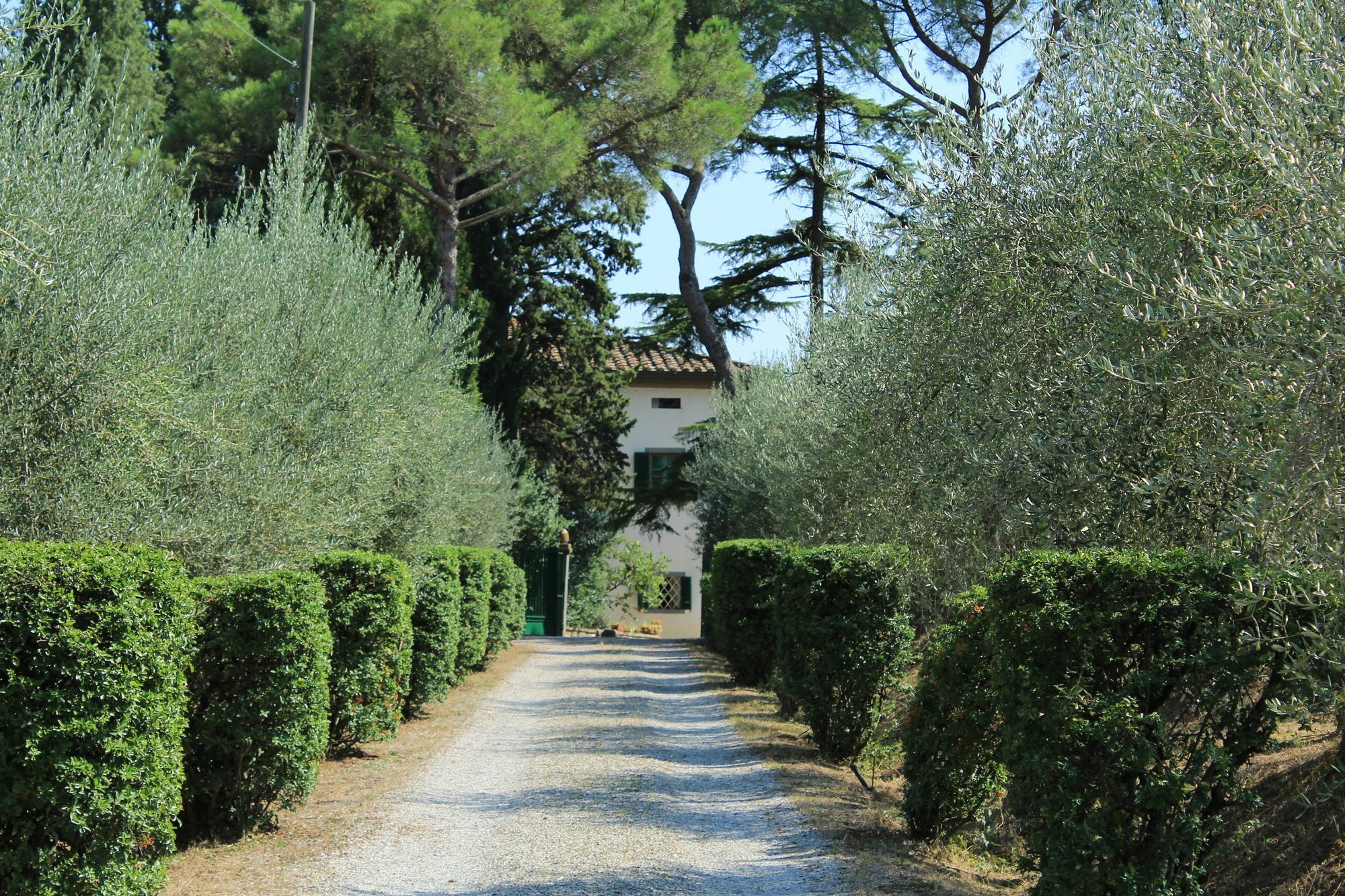 Agriturismo Villa La Morina Кортона Екстериор снимка